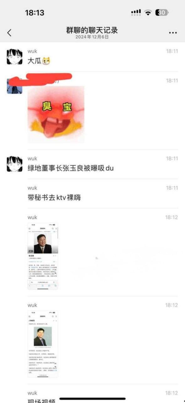 上海绿地集团董事长总裁张玉良KTV找小姐狂嗨吸毒 酒店与女秘书疯狂打炮视频流出 真是人老心不老-5