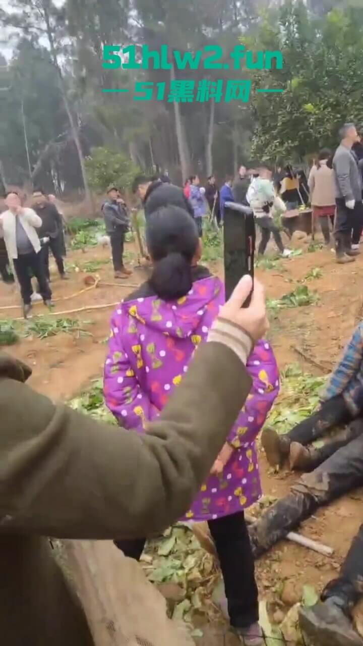 湖南衡阳李花村和添枝村互殴,数名外姓移门村民被打晕倒地不起,现场实拍流出。-8