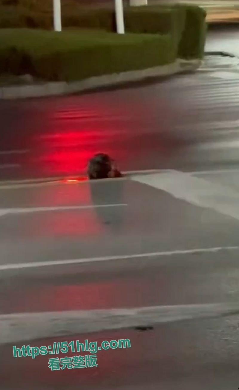 【山东诸城】繁荣路惊现死人头!伫立在马路中央周边血迹斑驳,路过行人被吓的当场昏厥,胆小勿入!-1