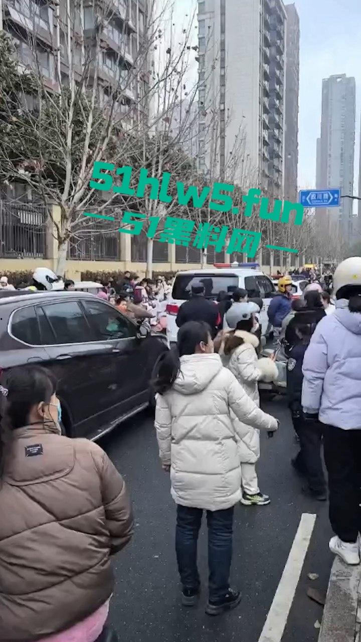 合肥滨湖小学,三年级小男生遭欺辱被剪操殖器,父亲发疯手刃覇凌同学。-4