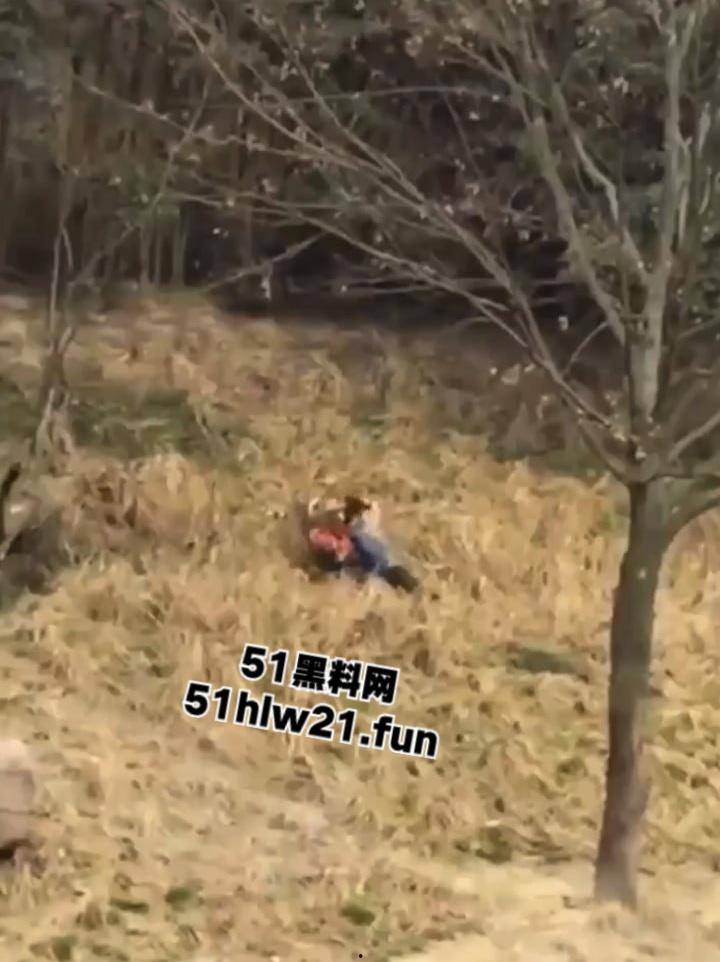 浙江宁波雅戈尔动物园,男子翻越围墙遭老虎攻击致死,老虎遭警方枪杀,园方称死者并没有买票。-3