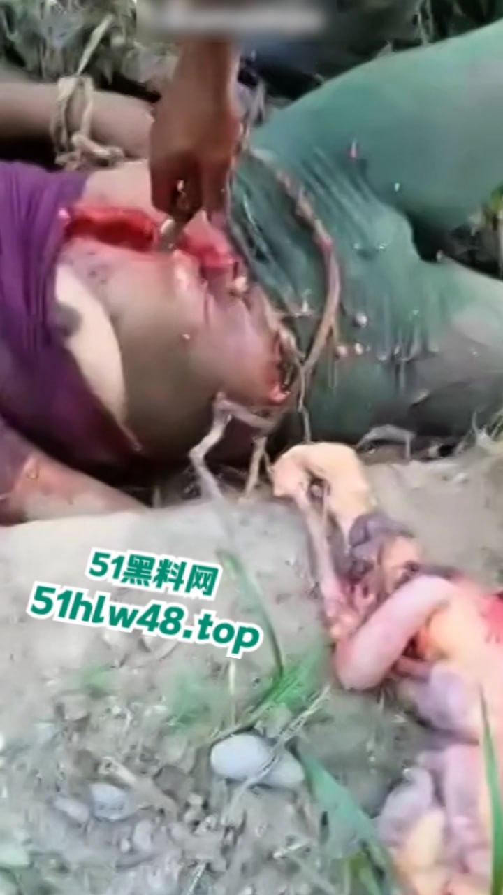 【恐怖血腥】国外大奶美女剖尸现场视频，大坨内脏被扯出，大奶美女和肥猪没啥区别。-2