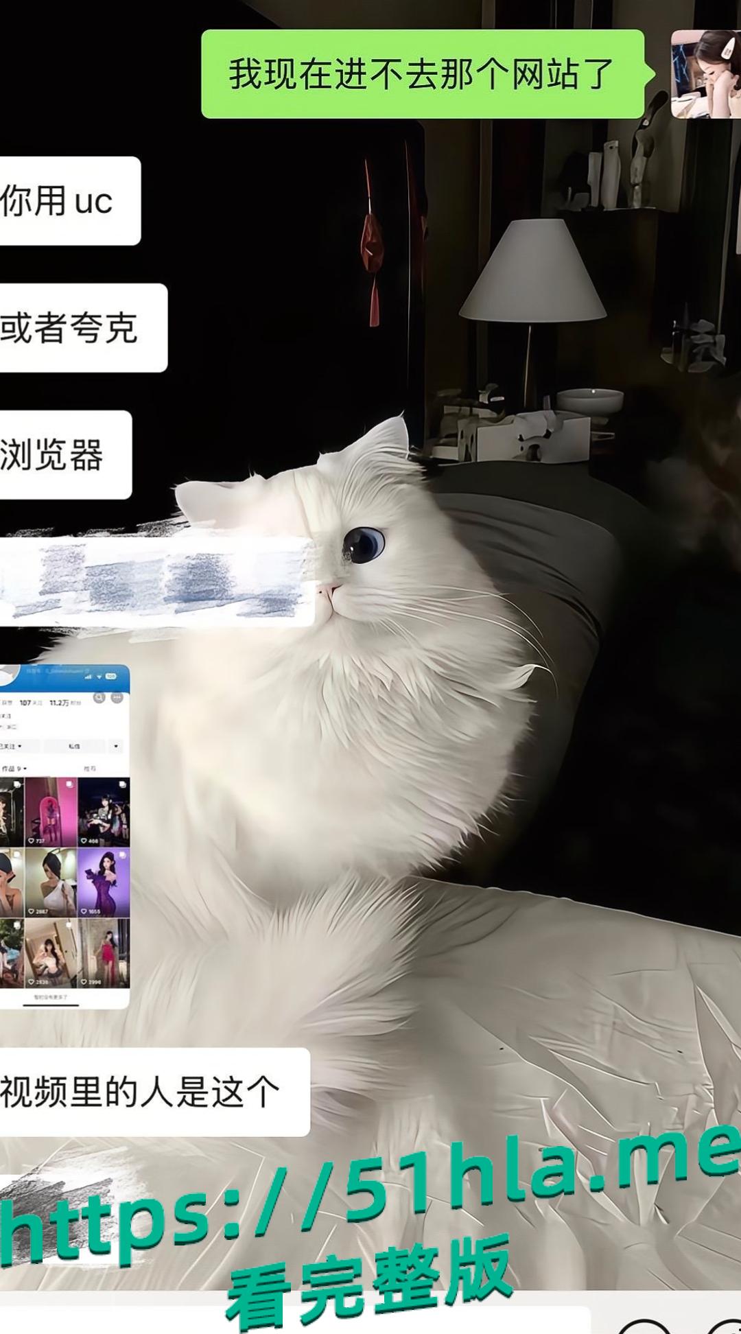 抖音女网红 mo你别哭 纹身女战士早期跟榜一大哥酒店激战视频曝光!-3