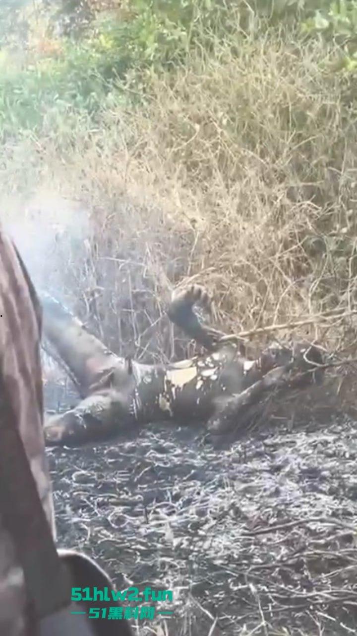 柬埔寨金边【坎达尔】惊现一燃烧尸体,尸体呈扭曲僵硬状态,疑似园区猪仔被毁尸灭迹?-8