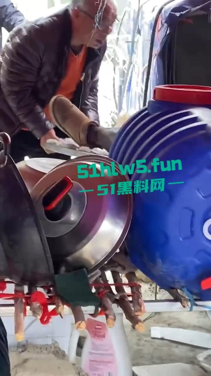 河南镇平庙会游乐设施发生故障致一家三口瞬间高空坠落,一死两伤现场惨不忍睹。-1