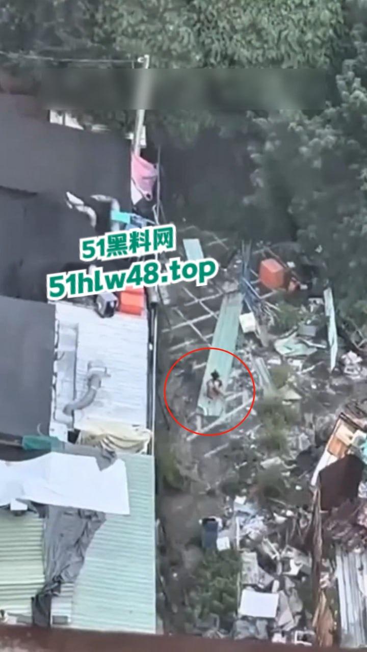 湾湾长腿大妈露天自慰被偷拍，大妈身材年轻时也绝对是大美女，想不到老了竟然这么饥渴。-3