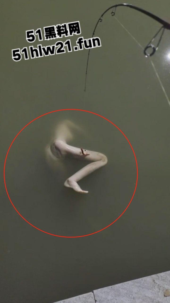 钓鱼佬夜钓惊现尸体,大长腿女尸钓鱼佬也太神奇,除了鱼钓不到以外什么都能钓到!-4