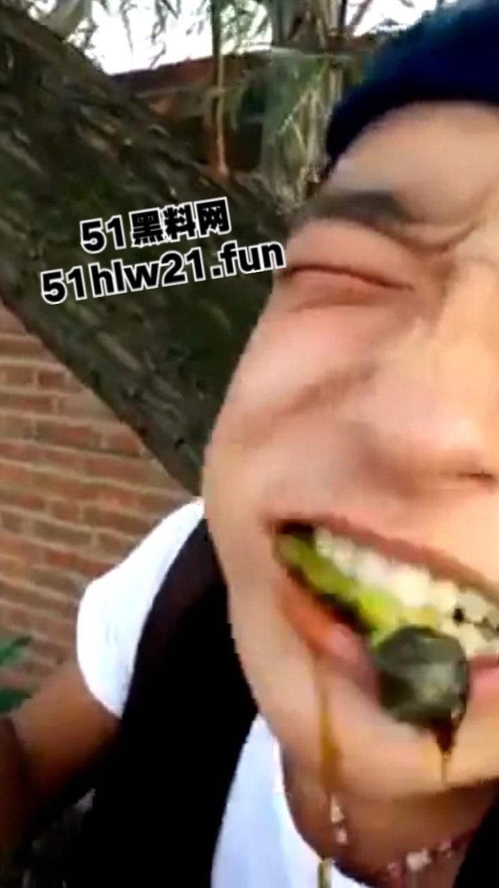 重口慎点!快手小哥炸裂生吃各种活物合集,活鸽子活麻雀死猪菜花蛇,哥们儿还活着吗?-2