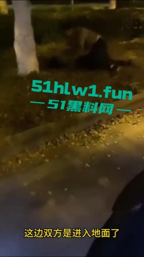 解说版女子抓奸后,让网约车师傅拍摄男女吵架引起热议,百万存款的足浴妹绿了自己丈夫10年。-2