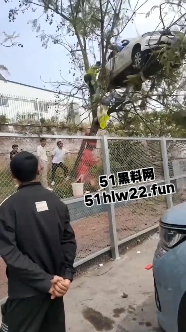 小刀拉屁股开了眼了,宜宾长宁驾校一教练教女学员开车一脚开飞直接上树,这车技也是没谁了!-8