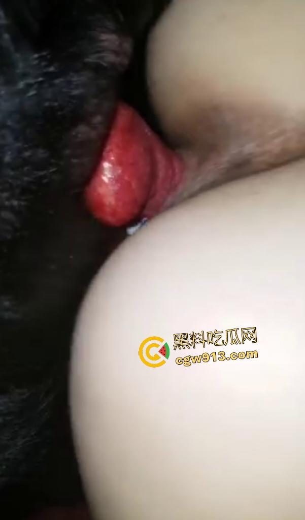 老外熟女趁丈夫不在家，与黑犬兽交！后入大屁股拔出喷精狂喷，狗鸡巴兽交姿势操逼，这是爱上主人了！-5
