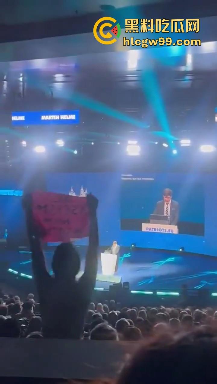 欧洲爱国者峰会再添骚乱!赤裸上身女权人士冲进了会场抗议,抗议内容写在奶子上,这点好评。-2