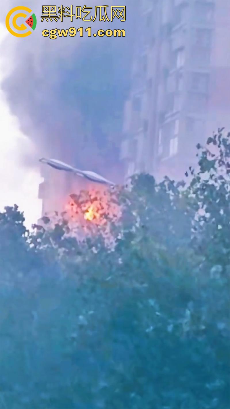 男人崩溃带走全家,合肥滨湖顺园北区发生火灾,据说是男人心态崩溃,给老婆和孩子下安眠药后点了房子!-3