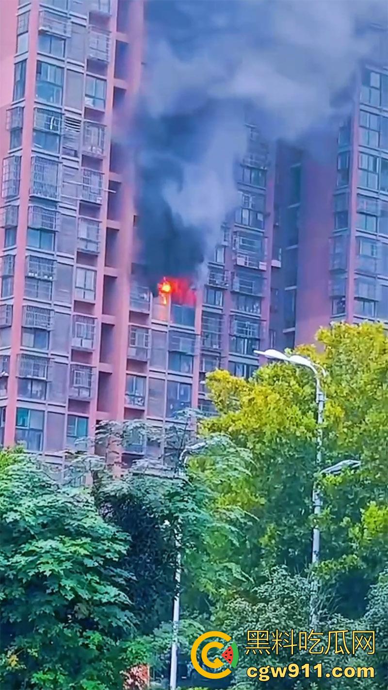 男人崩溃带走全家,合肥滨湖顺园北区发生火灾,据说是男人心态崩溃,给老婆和孩子下安眠药后点了房子!-7