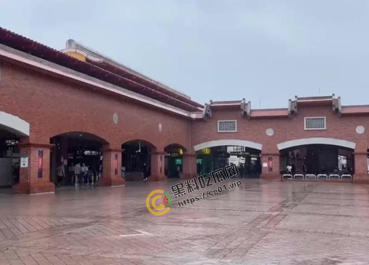 4日深夜的台北地铁 淡水站内 34岁男子和他52岁小女友 公然上演野狗街头交配-1