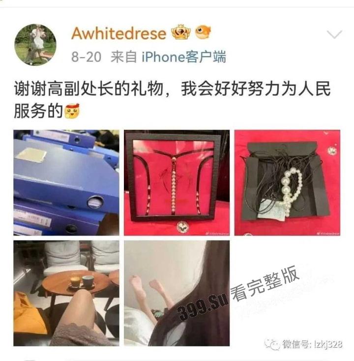 [独家猛料]高副处长独特爱好冲上热搜！送礼只送情趣内衣！并发文一定用内衣努力服务好人民！-1
