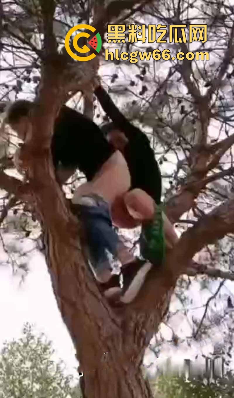 情侣周末野外游玩 一时兴起居然爬到树上打炮 抱着树枝被后入 还真会选地方呢!-7