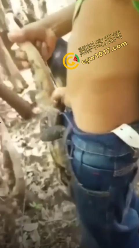 印度阿三享受变态玩乐:鸡巴爆操蜥蜴嫩穴,直到精液喷涌,炫耀异样快感,震撼画面引无数网民围观-5