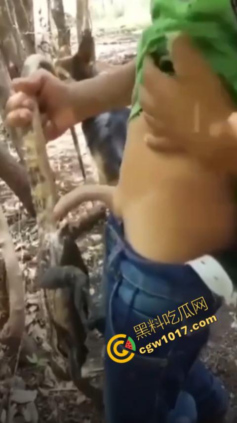 印度阿三享受变态玩乐:鸡巴爆操蜥蜴嫩穴,直到精液喷涌,炫耀异样快感,震撼画面引无数网民围观-10