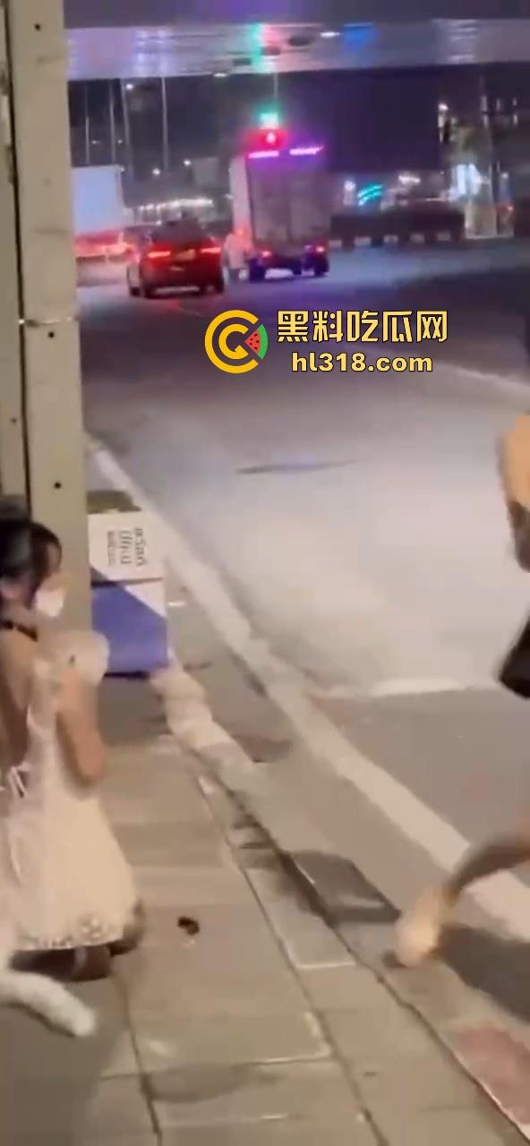 极品好闺蜜深夜路边户外露出调教,白嫩小母狗牵引沿路爬行,真听话是个好狗狗!-2