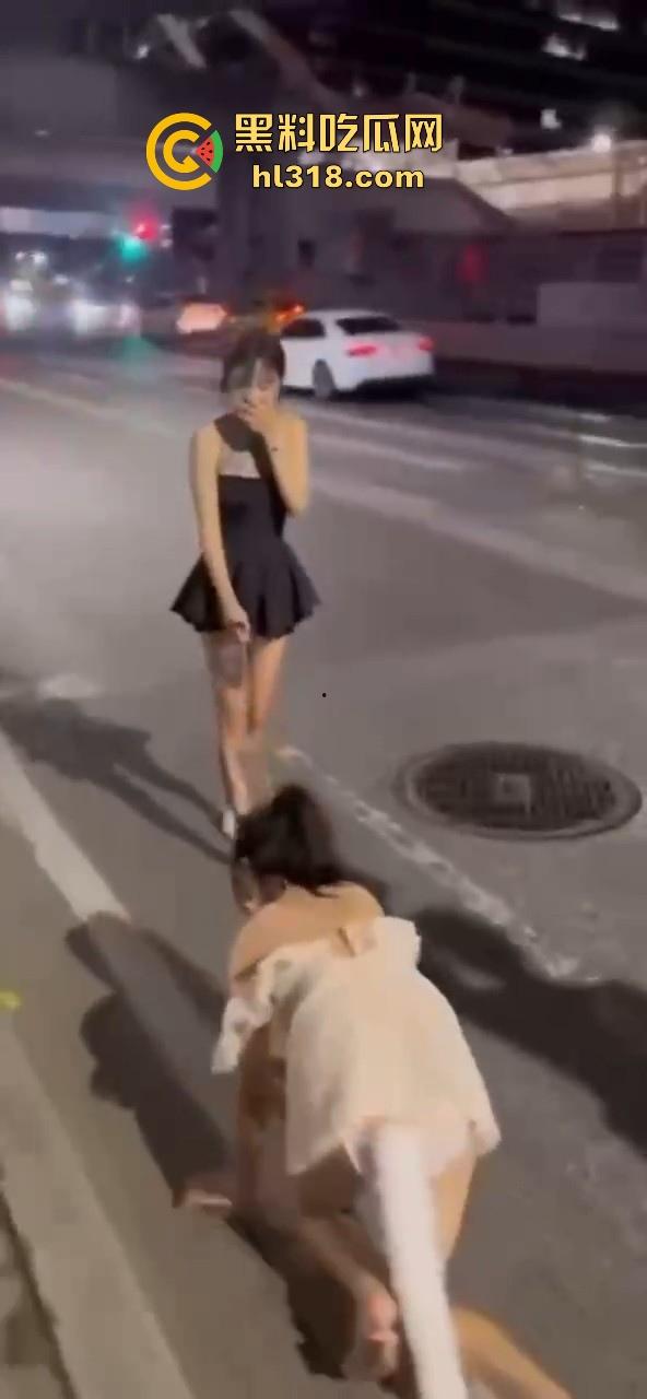 极品好闺蜜深夜路边户外露出调教,白嫩小母狗牵引沿路爬行,真听话是个好狗狗!-4