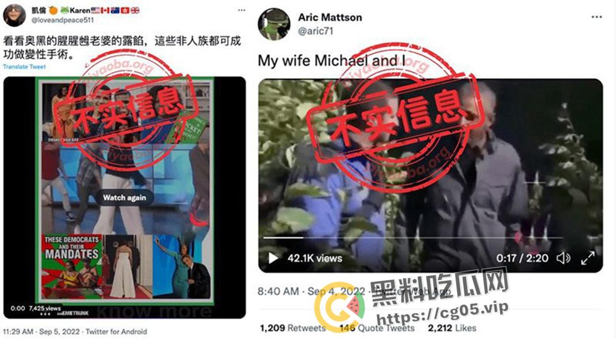 美国头条！奥巴马的妻子 “米歇尔”其实是个男人？同性恋秘密被公开？-3