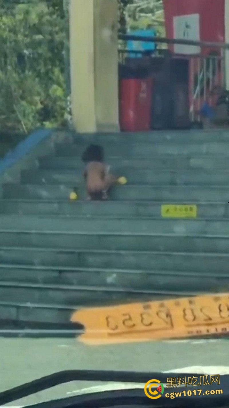 四川石棉高速服务区小猿泰山锅巴，高学历父母不给穿衣上户口，男孩爬食地摊剩饭，这父母真是禽兽不如！-4