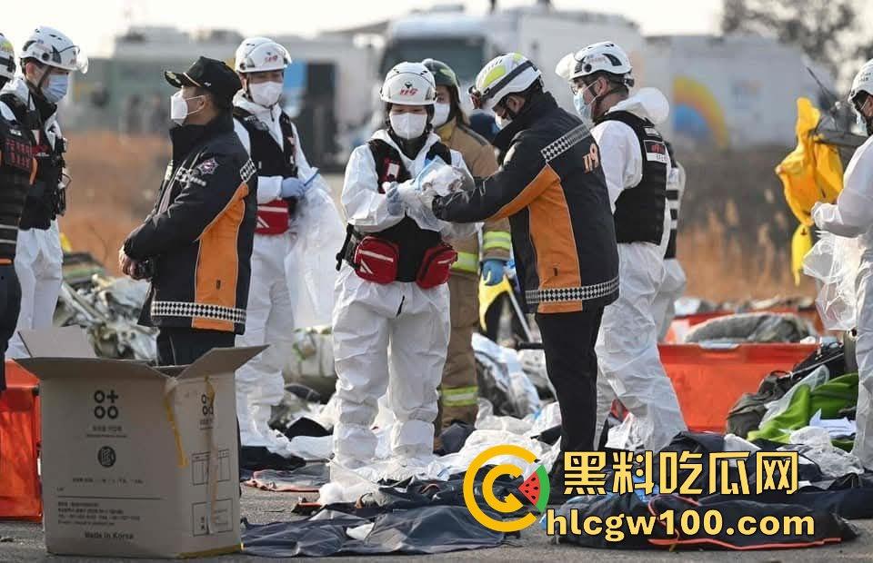 韩国济州航空坠机惨剧，因一只鸟导致181人中179人丧生，仅尾部保留形状，2名机组人员侥幸生还！-11