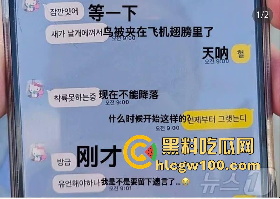 韩国济州航空坠机惨剧，因一只鸟导致181人中179人丧生，仅尾部保留形状，2名机组人员侥幸生还！-16