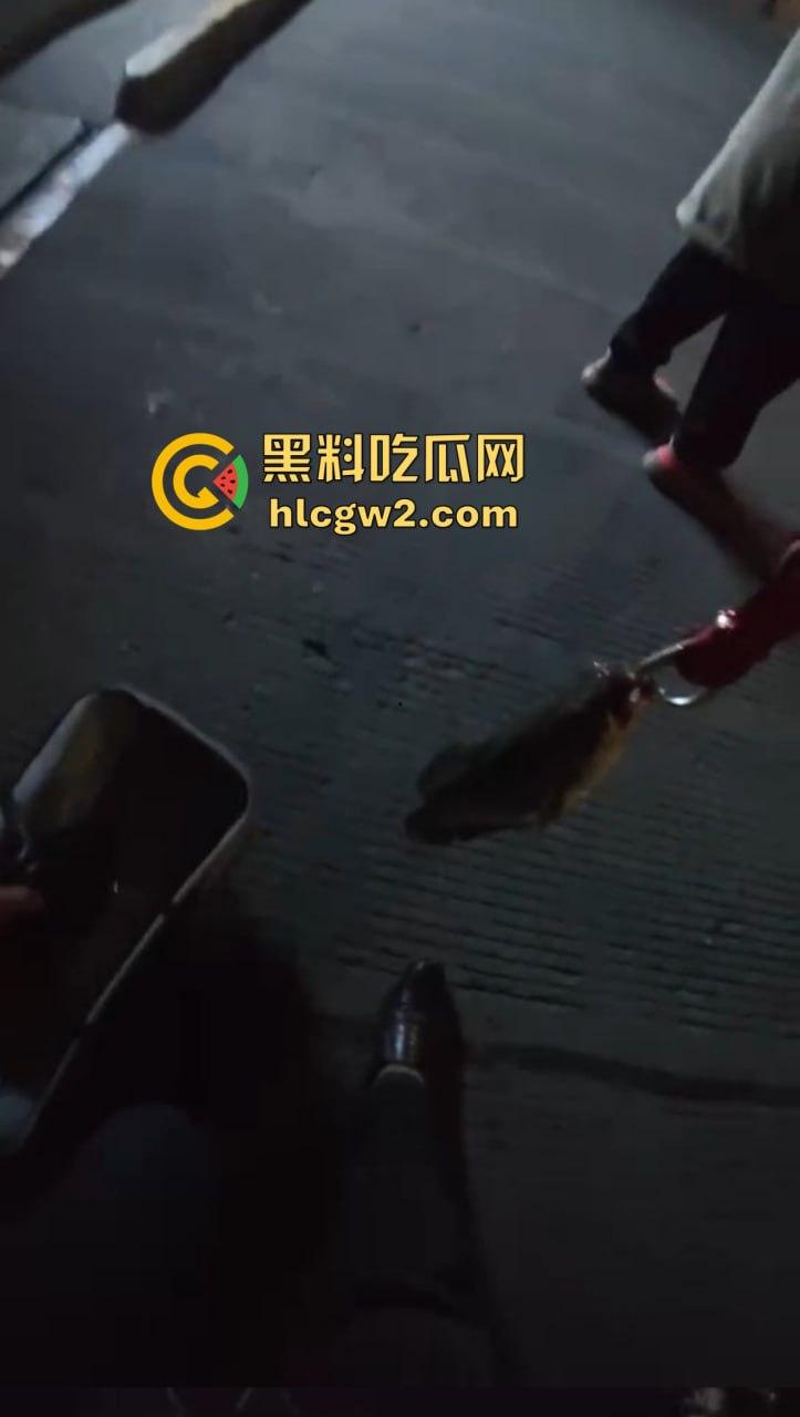 钓鱼佬想换小姐姐十分钟激情 拿条黄辣丁换草逼 小姐姐一脸嫌弃 把人当翘嘴钓呢？-10