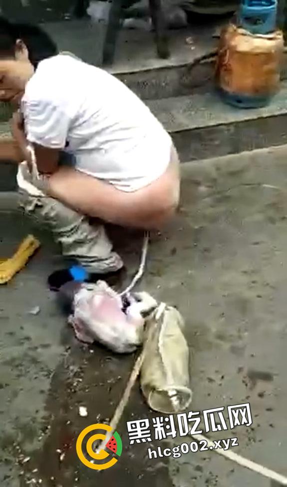 妇女当街站着生小孩 直接就拉出来了 现场视频流出 血腥慎入-2