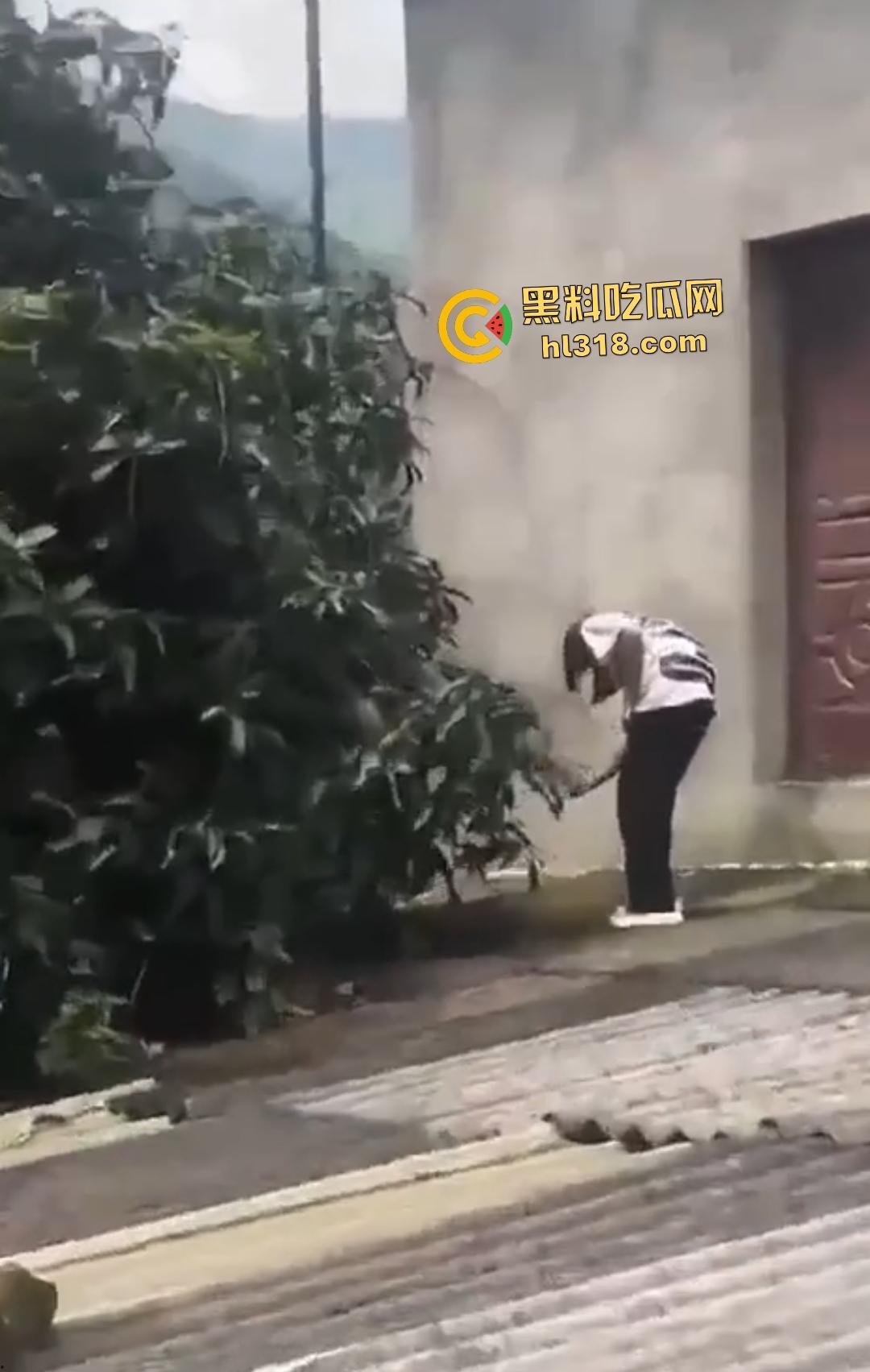 集美组团偷芒果翻车！白衣女孩瓦房“跳关”坠落陷阱，谁知这却是房主故意的陷阱！-6