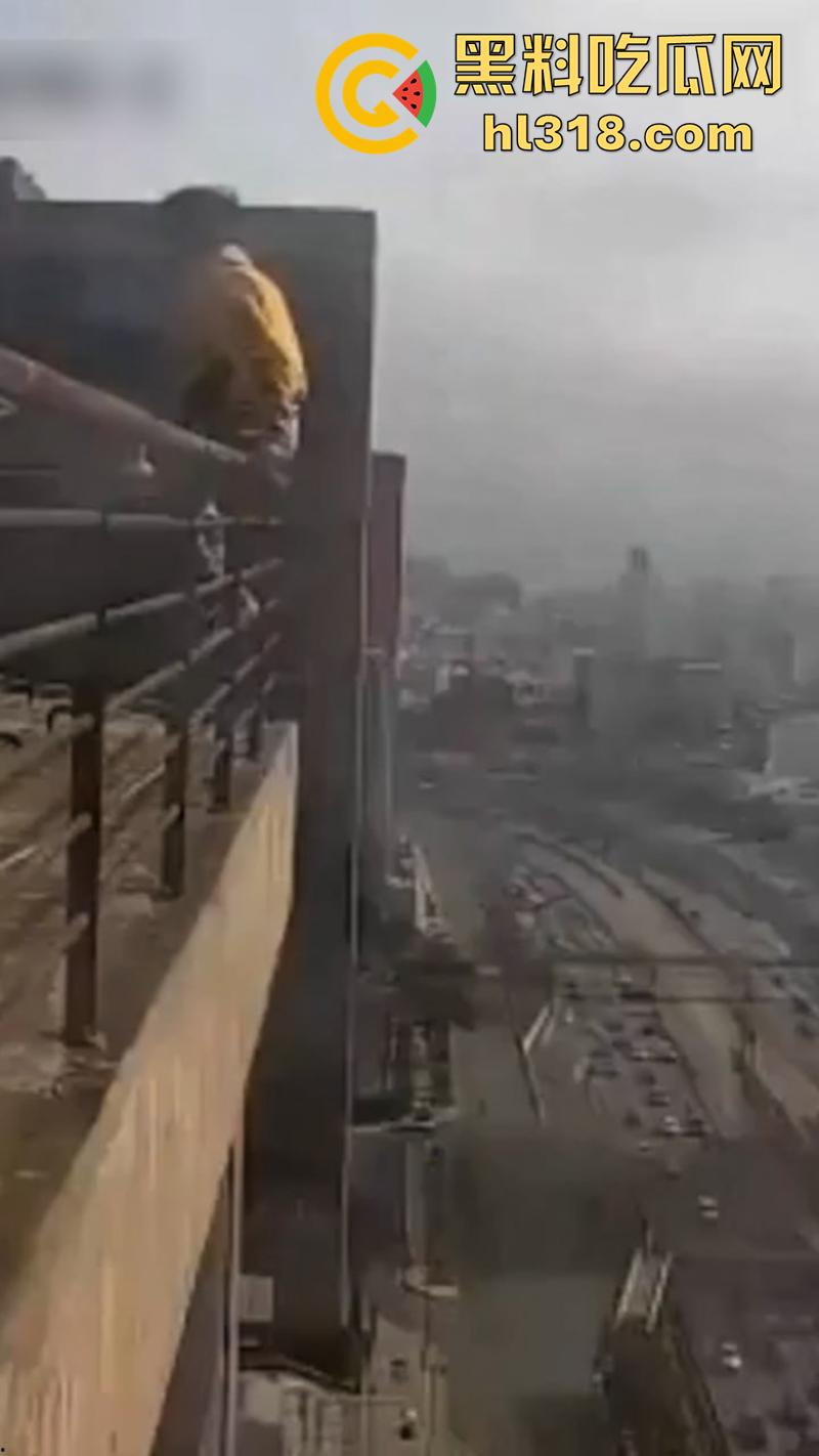 巴西男子跳楼现场，因所要医疗保险无果，直接跑到保险公司楼顶，几番犹豫后一跃而下！-1