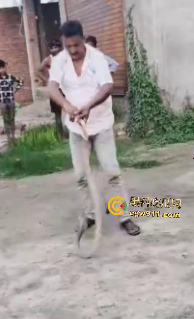 印度蛇王装逼被反杀，毒眼镜蛇一口咬死抓蛇神人，没想到血清忘带了，直接当场丧命，下辈子别再装逼了！-4