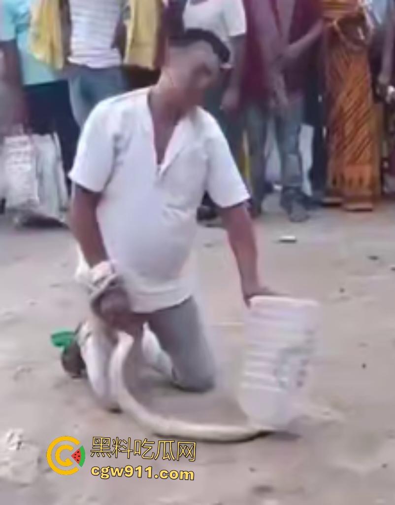 印度蛇王装逼被反杀，毒眼镜蛇一口咬死抓蛇神人，没想到血清忘带了，直接当场丧命，下辈子别再装逼了！-8
