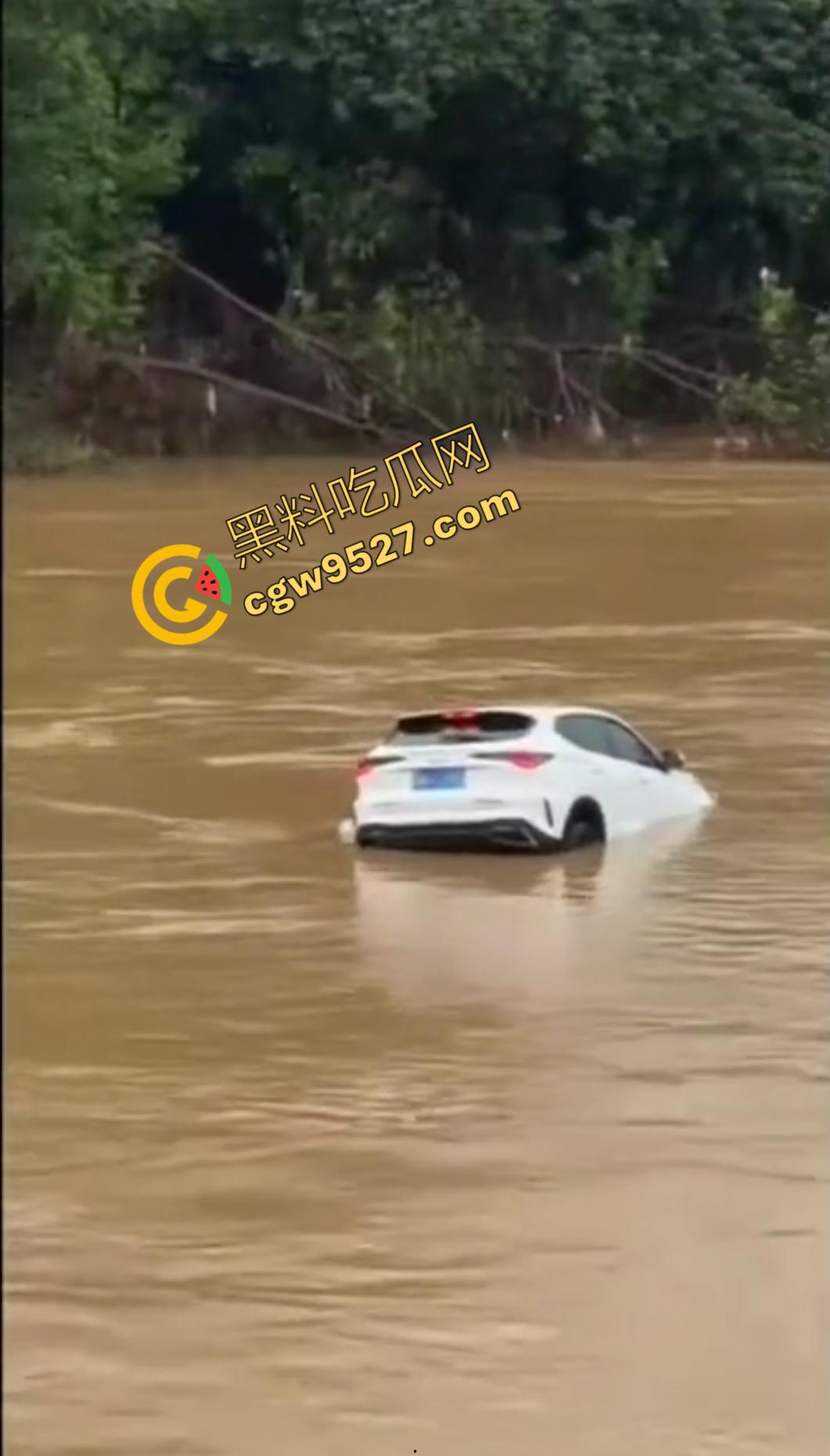 远离女司机！东莞一女司机因操作失误掉河里死亡，监控摄像头全程记录，这操作真牛！-5