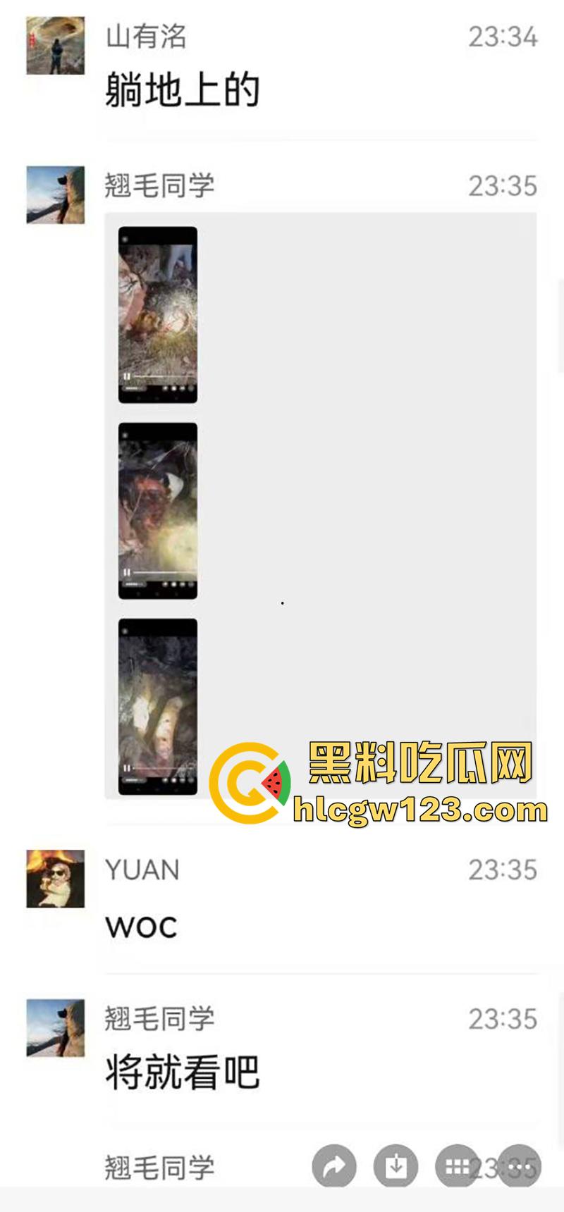 西藏贡嘎藏马熊屠杀人类,帅哥随旅行团西藏游,一行人挖虫草误入熊窝,头骨被咬碎无一生还!-3