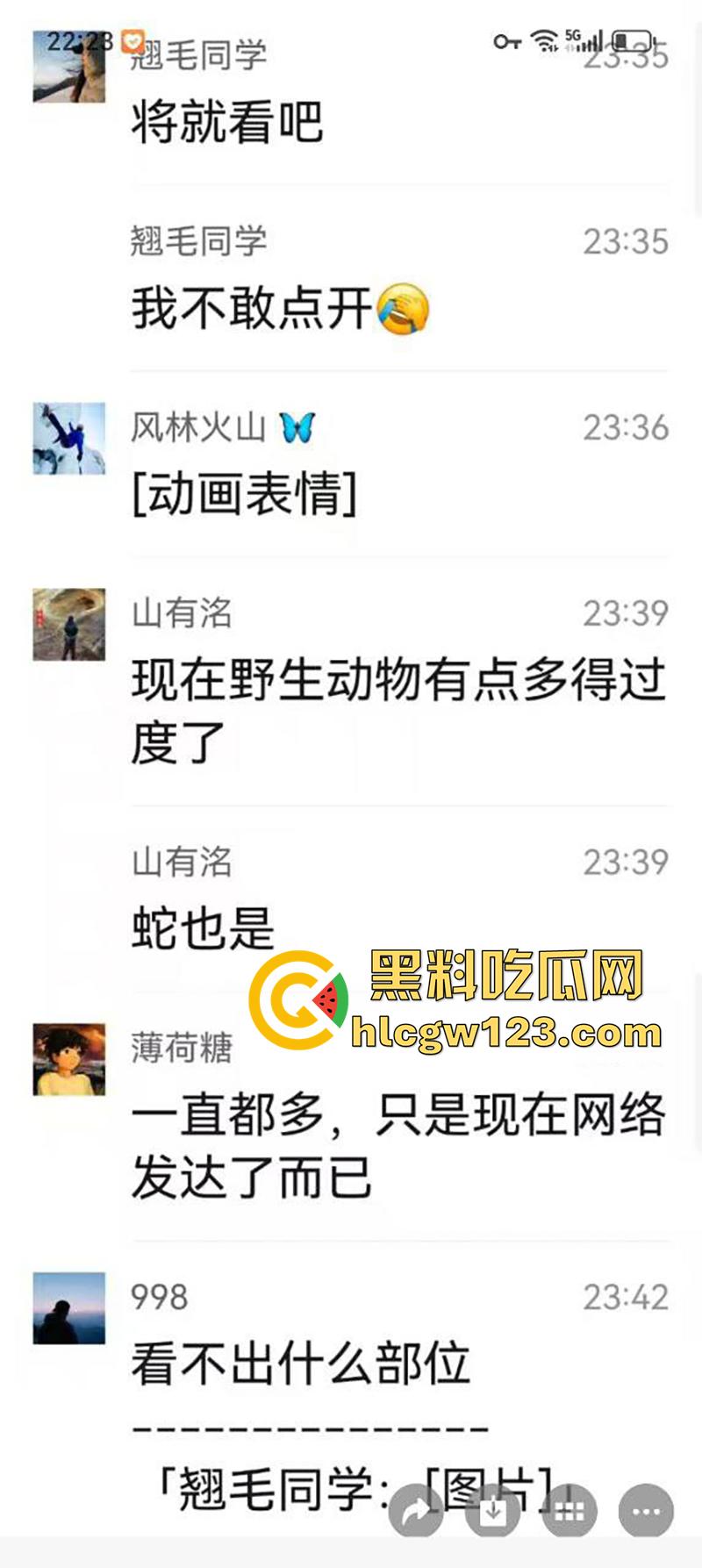 西藏贡嘎藏马熊屠杀人类,帅哥随旅行团西藏游,一行人挖虫草误入熊窝,头骨被咬碎无一生还!-4