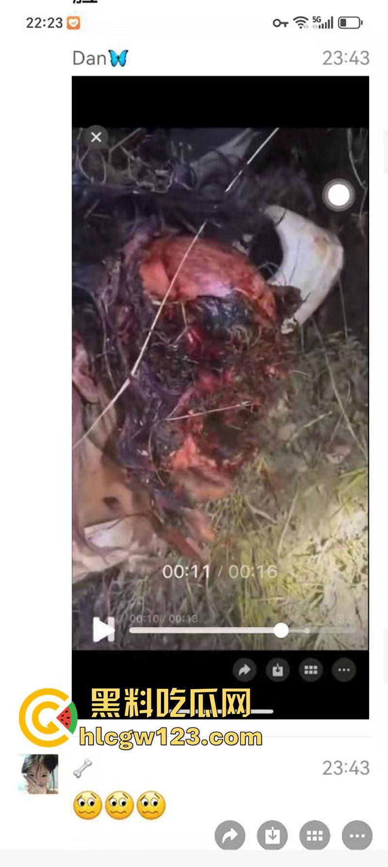 西藏贡嘎藏马熊屠杀人类,帅哥随旅行团西藏游,一行人挖虫草误入熊窝,头骨被咬碎无一生还!-7