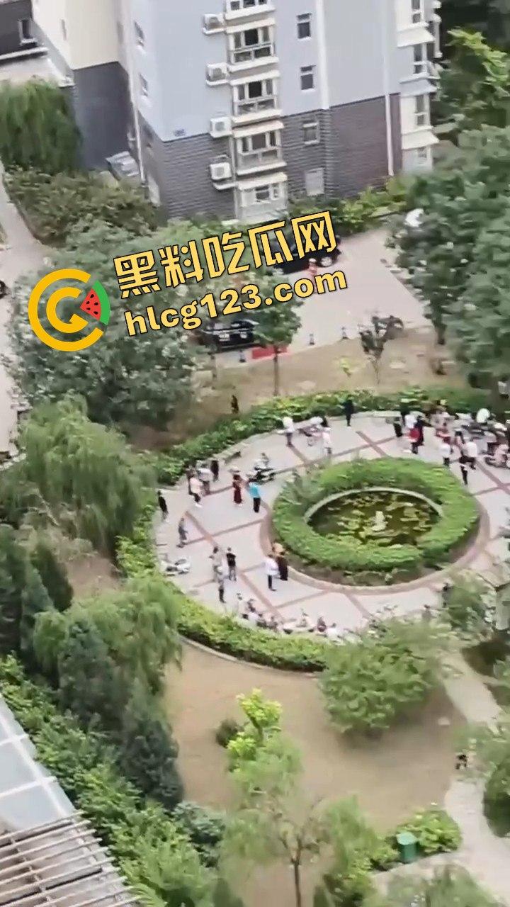 结婚当天邻居跳楼,喜事变悲剧,新人如何处理这场突如其来的困境?-1