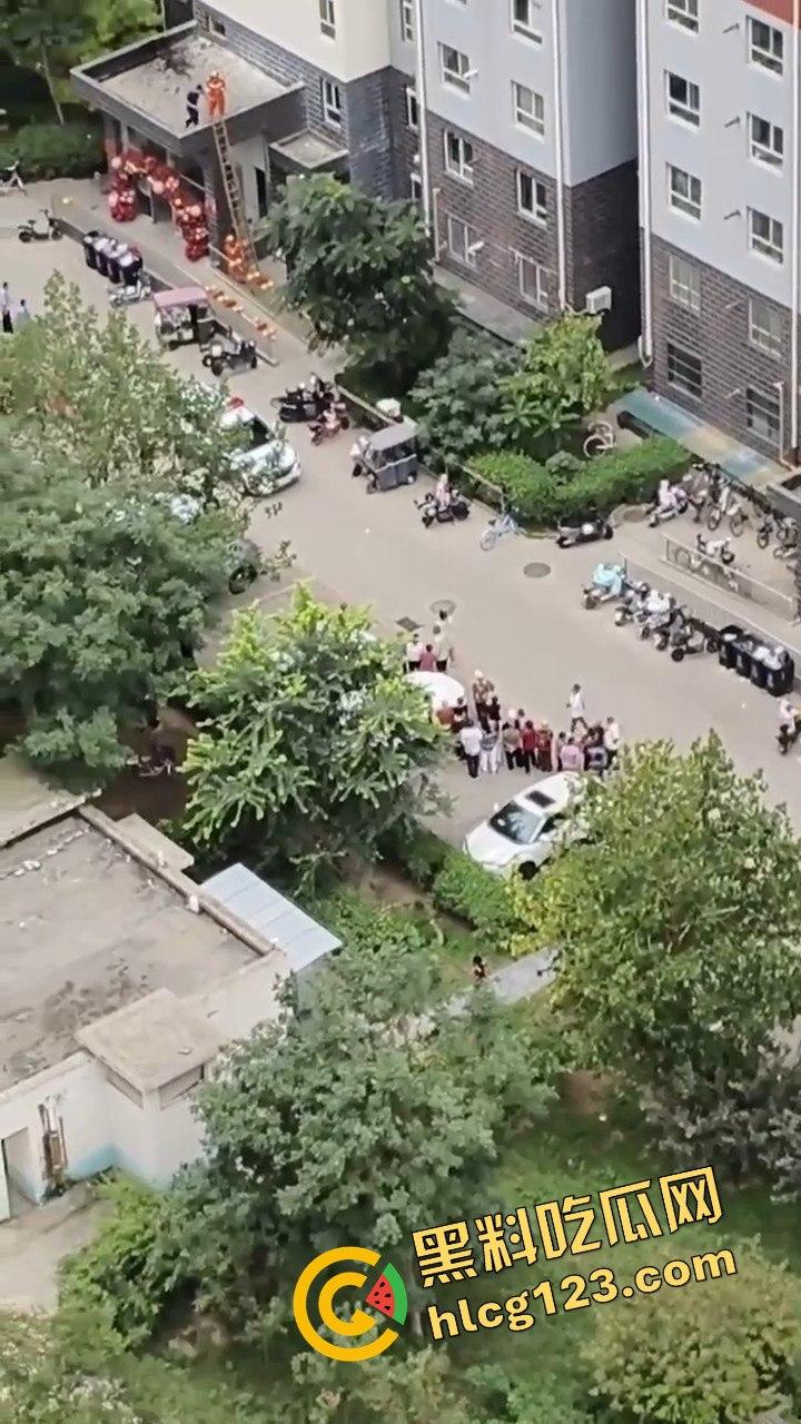 结婚当天邻居跳楼,喜事变悲剧,新人如何处理这场突如其来的困境?-2