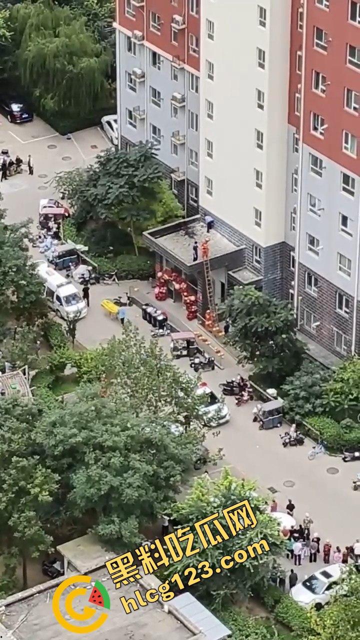 结婚当天邻居跳楼,喜事变悲剧,新人如何处理这场突如其来的困境?-5