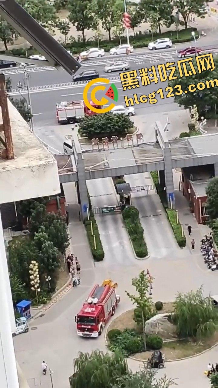 结婚当天邻居跳楼,喜事变悲剧,新人如何处理这场突如其来的困境?-6