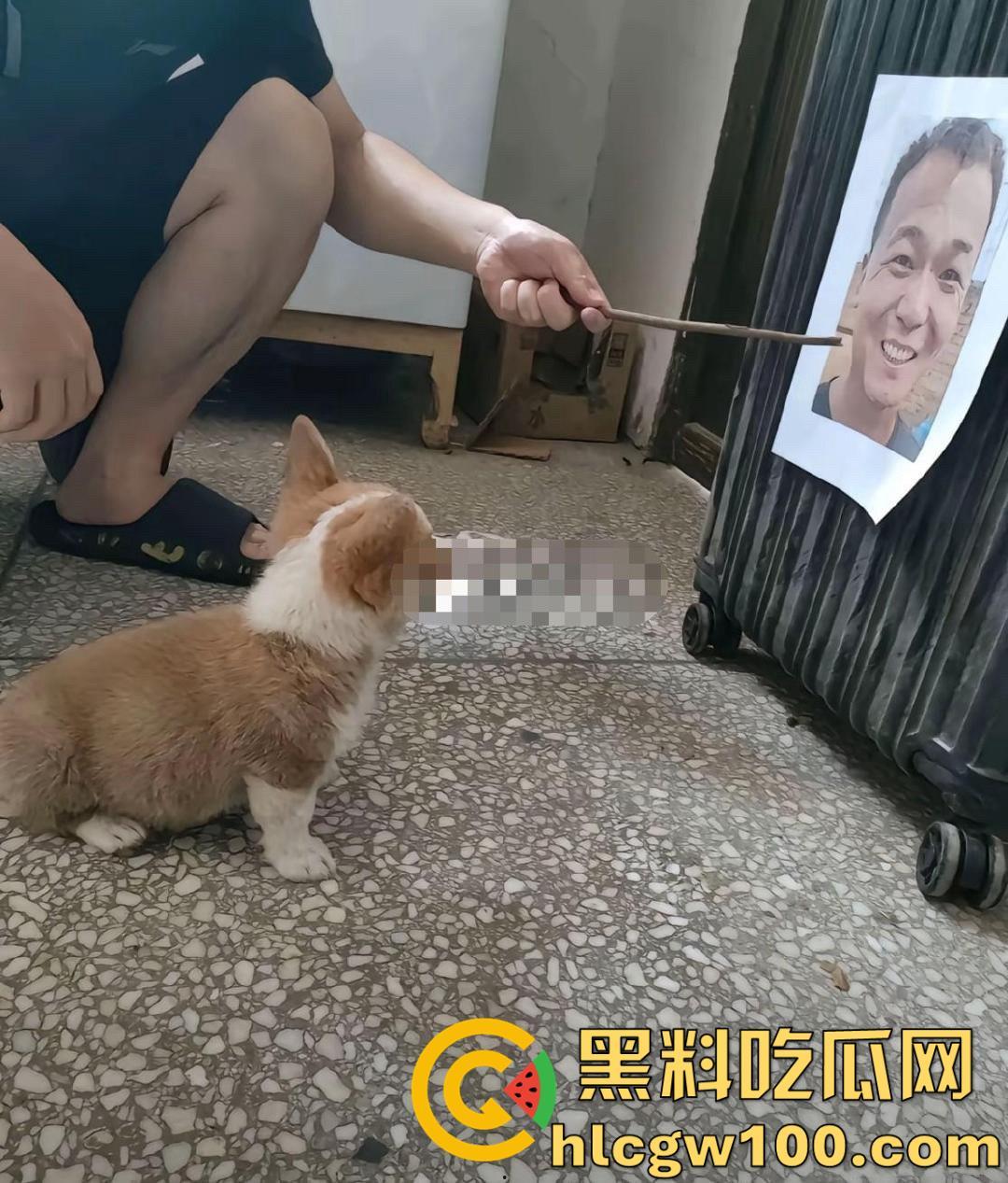 千万粉网红【潘宏爱玩狗】深陷虐狗风波，艾特直播洗澡窒息死亡，【陈乔恩】发声批判-12