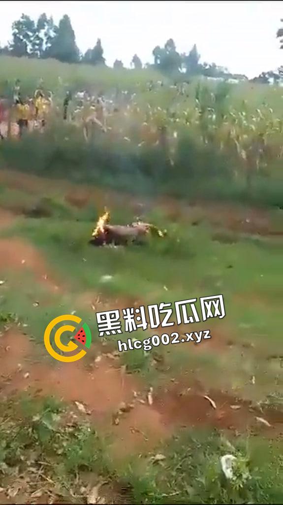尼哥就是狠!南非尼哥虐待小孩 被抓到后活活烧死 惨不忍睹-6