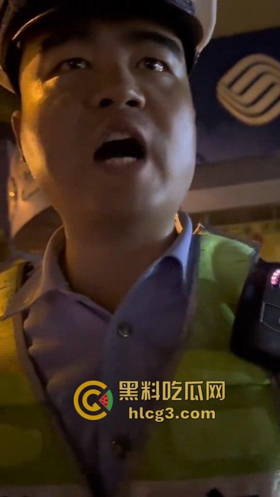 河南漯河暴力执法！男子举报警察查酒驾期间遭暴力搜车与殴打，行车记录仪被强行夺走！-5