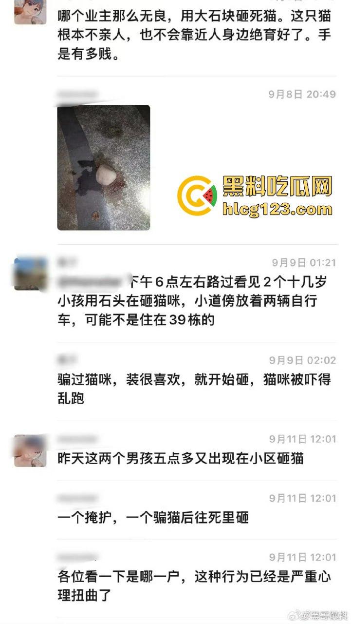 两个初中生小区虐猫？回家对着你老父亲试试，猫是猫人不是人！-3