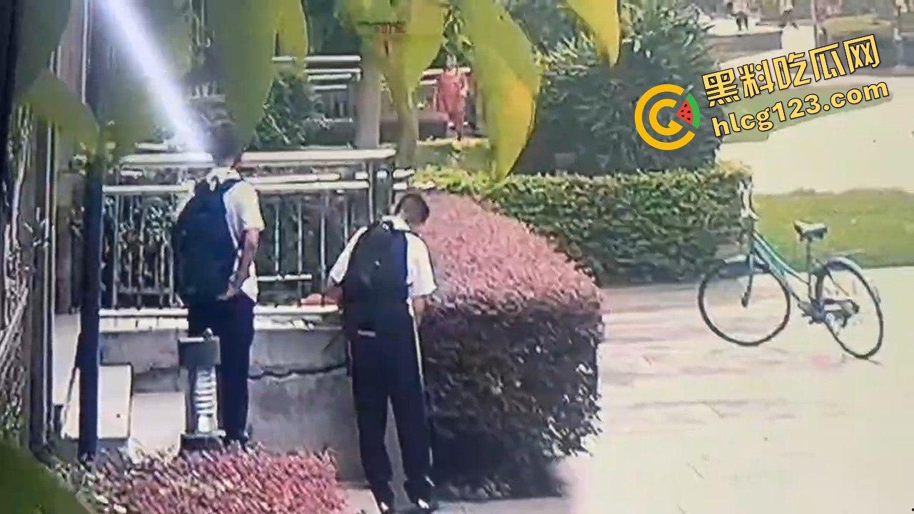 两个初中生小区虐猫？回家对着你老父亲试试，猫是猫人不是人！-9