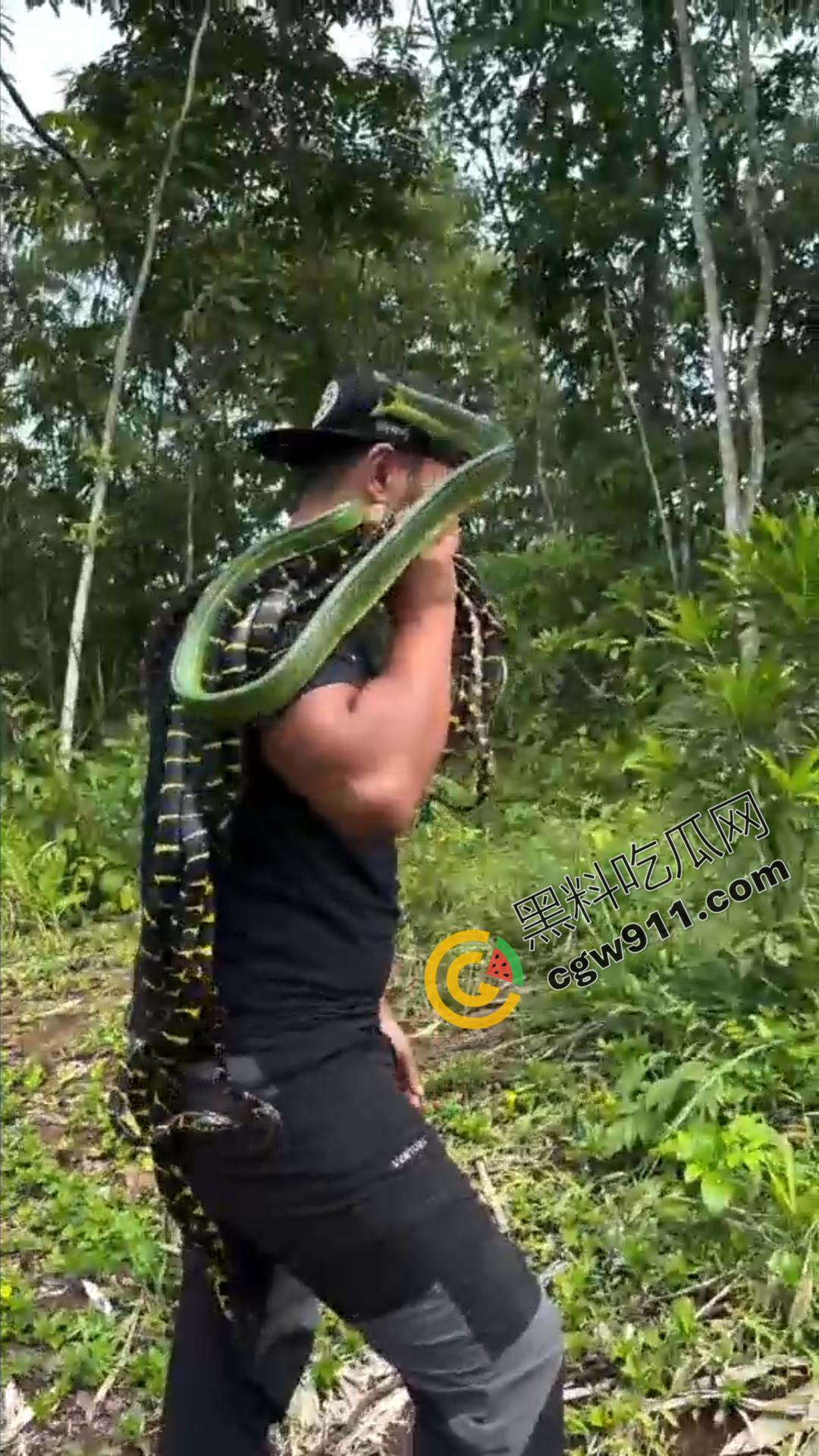 恐怖渗人！越南老哥终日与毒蛇共舞，练就百毒不侵的体魄，神操作直接看呆众人-3