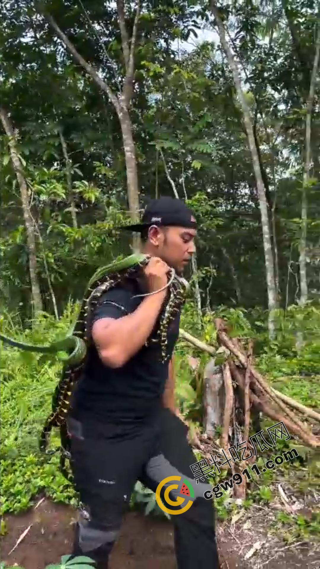 恐怖渗人！越南老哥终日与毒蛇共舞，练就百毒不侵的体魄，神操作直接看呆众人-4